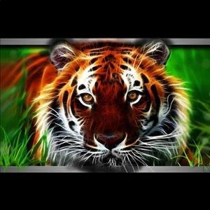 Meet your Posher, Juan